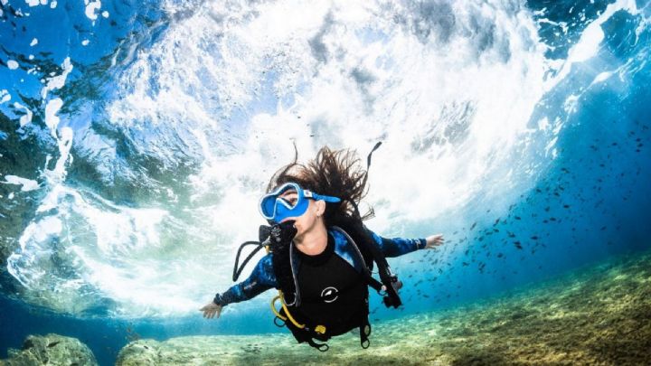 Scuba Diving in Sydney - Brookvale